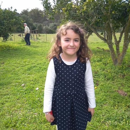 Agroturismo Sa Vall Son Macia  Buitenkant foto